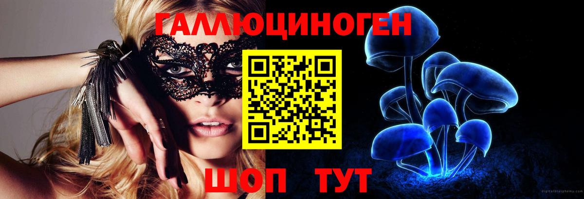 Псилоцибиновые грибы мухоморы  Вход с VPN  где найти   Псилоцибиновые грибы Cubensis  Кировск 